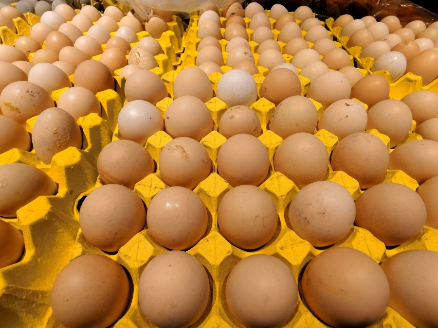 雞蛋價格淡季大漲 四季度后期回落的可能性較大