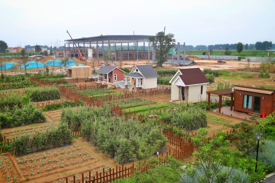 為推進美麗鄉村建設 聊城經濟技術開發區打造農村宅基地申請管理平臺