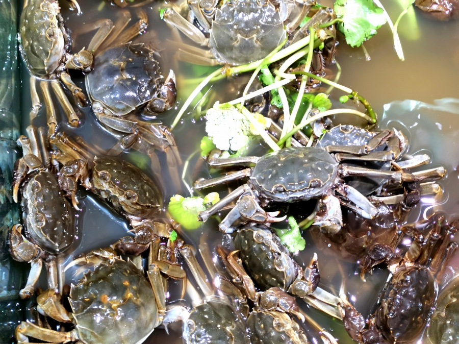 上海公布食品安全抽檢信息 2批次梭子蟹鎘含量超標