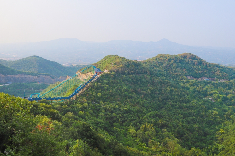 贵州省林业局印发行动计划 将在三年内建设100万亩国家储备林