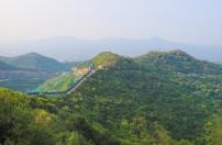 貴州省林業局印發行動計劃 將在三年內建設100萬畝國家儲備林