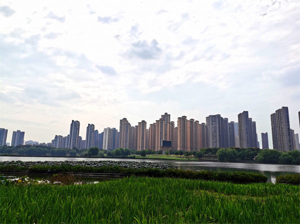 深圳市气象局发布最新预测 春运期间将有4-5次冷空气影响