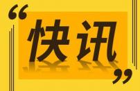 在黄河石上创作生肖虎画 农民画家创意迎新年