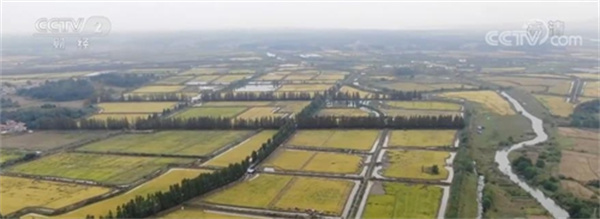 黑龙江省粮食产量实现“十八连丰” 努力建设“绿色粮仓”