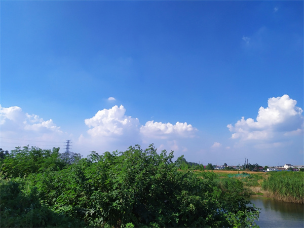 漳州台商投资区推动河湖长制有名有责 保持渔业生态平衡