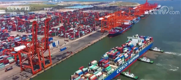 深圳盐田港区码头服务“不打烊” 保障外贸产业链、供应链畅通