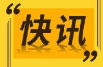 仅运作9天 蚂蚁财富“金选投顾”遭叫停
