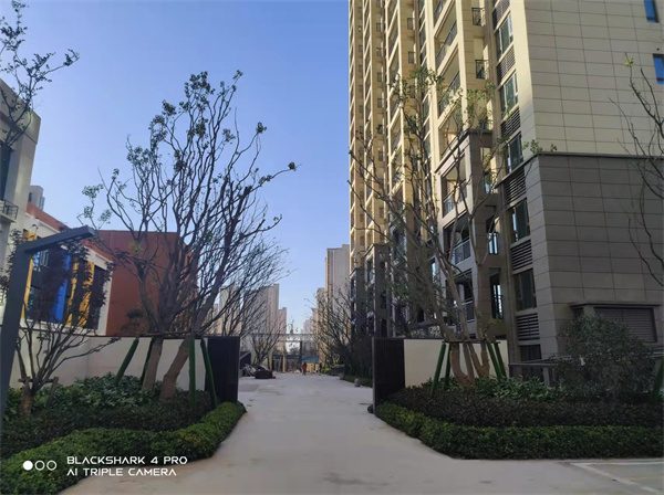 “十四五”重庆计划筹集保障性租赁住房40万套 提升住房保障水平