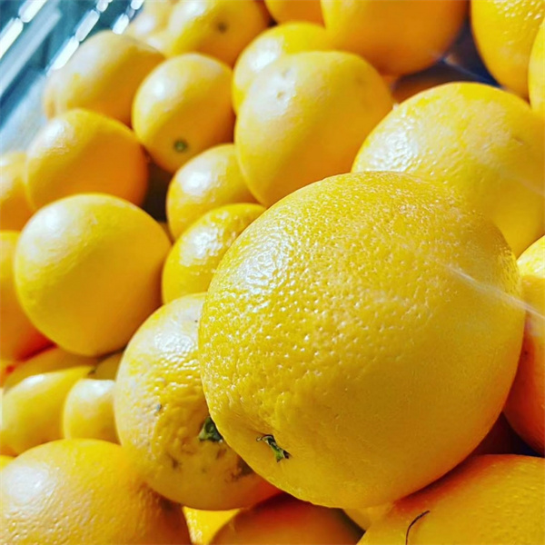 三峡柑橘出口加工中心正式投运 附加值和知名度将进一步提升