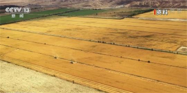 农业农村部发起大豆高产竞赛 挖掘一批种植能手和高产典型