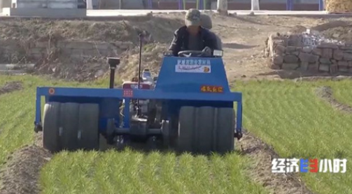 新疆阿瓦提县优化棉花种植结构 棉花播种工作全面展开