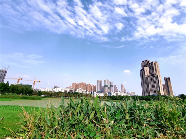 深圳划定专门区域供游客搭设帐篷 打造优质的公园生活