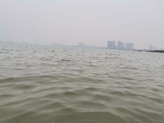 2022年黑龙江中游739公里至996公里段 明水期运输正式拉开序幕