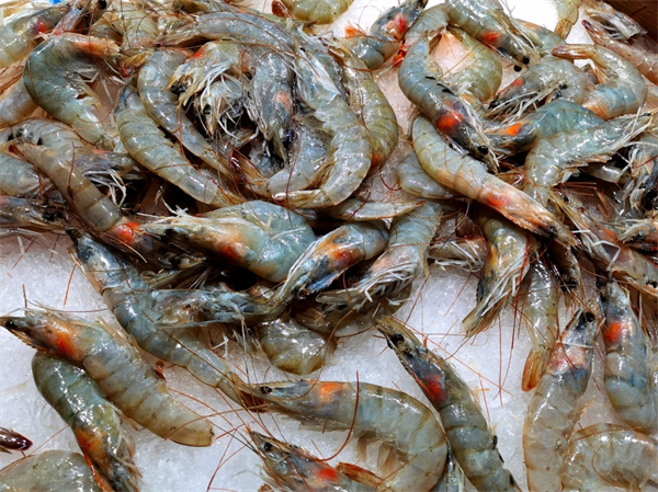 虾和哪些食物不能一起吃？为什么吃虾只有脸部过敏？